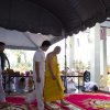 25590520-IMG_3756